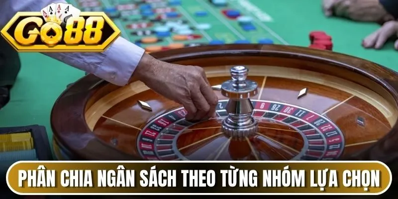 Phân chia ngân sách theo từng nhóm lựa chọn 